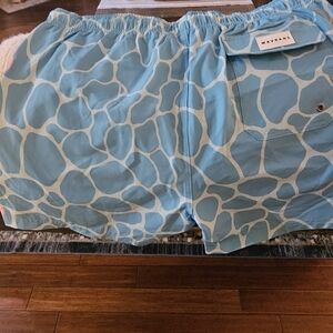 Blue Patterned Men's Shorts
